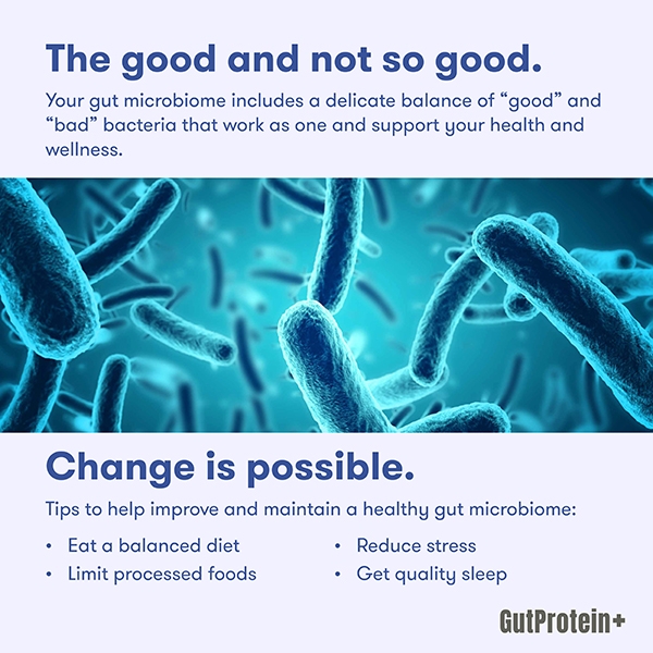 202411_B1_What_is_the_gut_microbiome_Image3_Eng.jpg