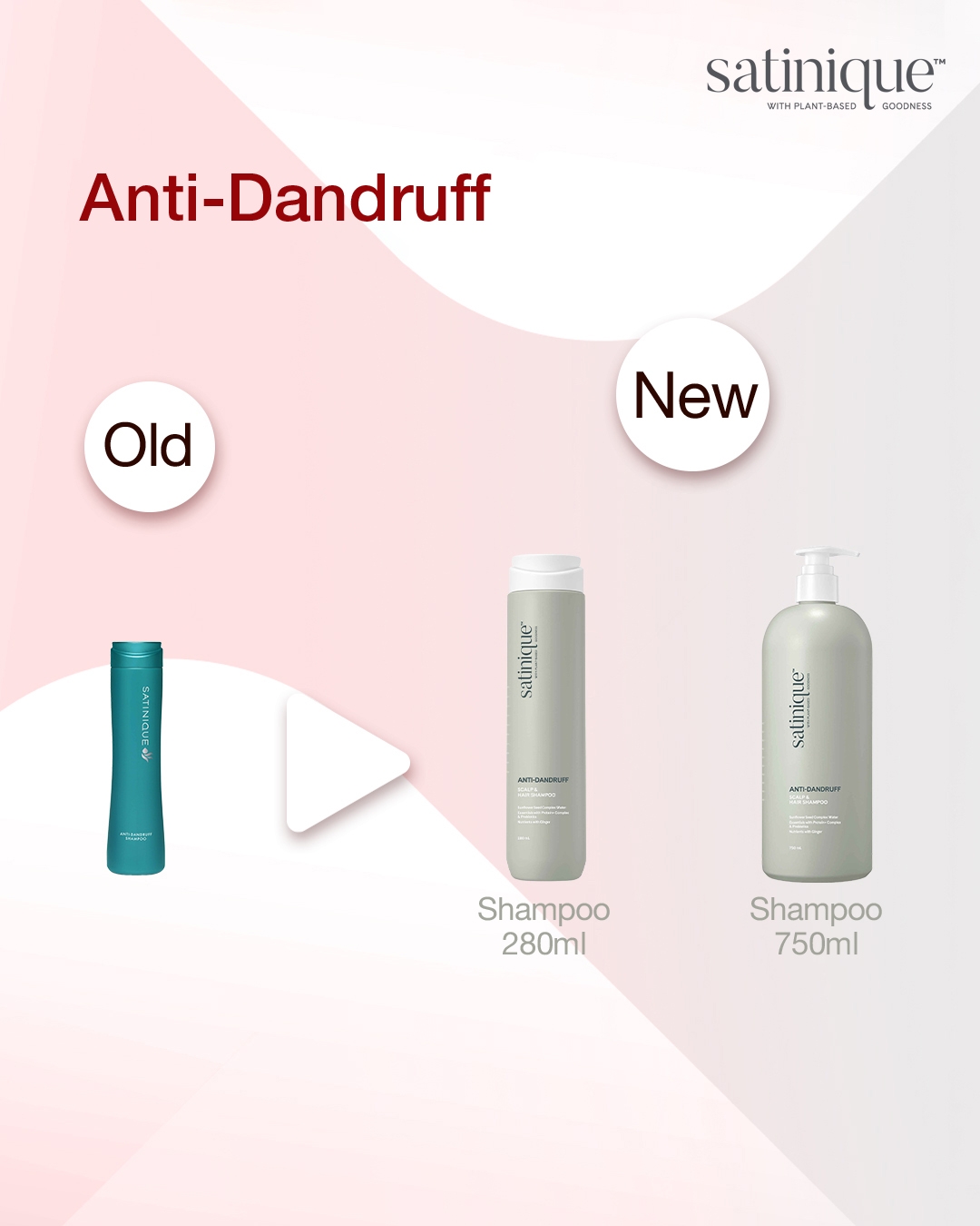0905_Satinique_Anti_dandruff_E_eng.jpg