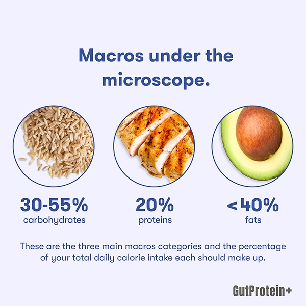 202502_C4_What_are_the_best_nutrients_for_my_body_Image4_Eng.jpg