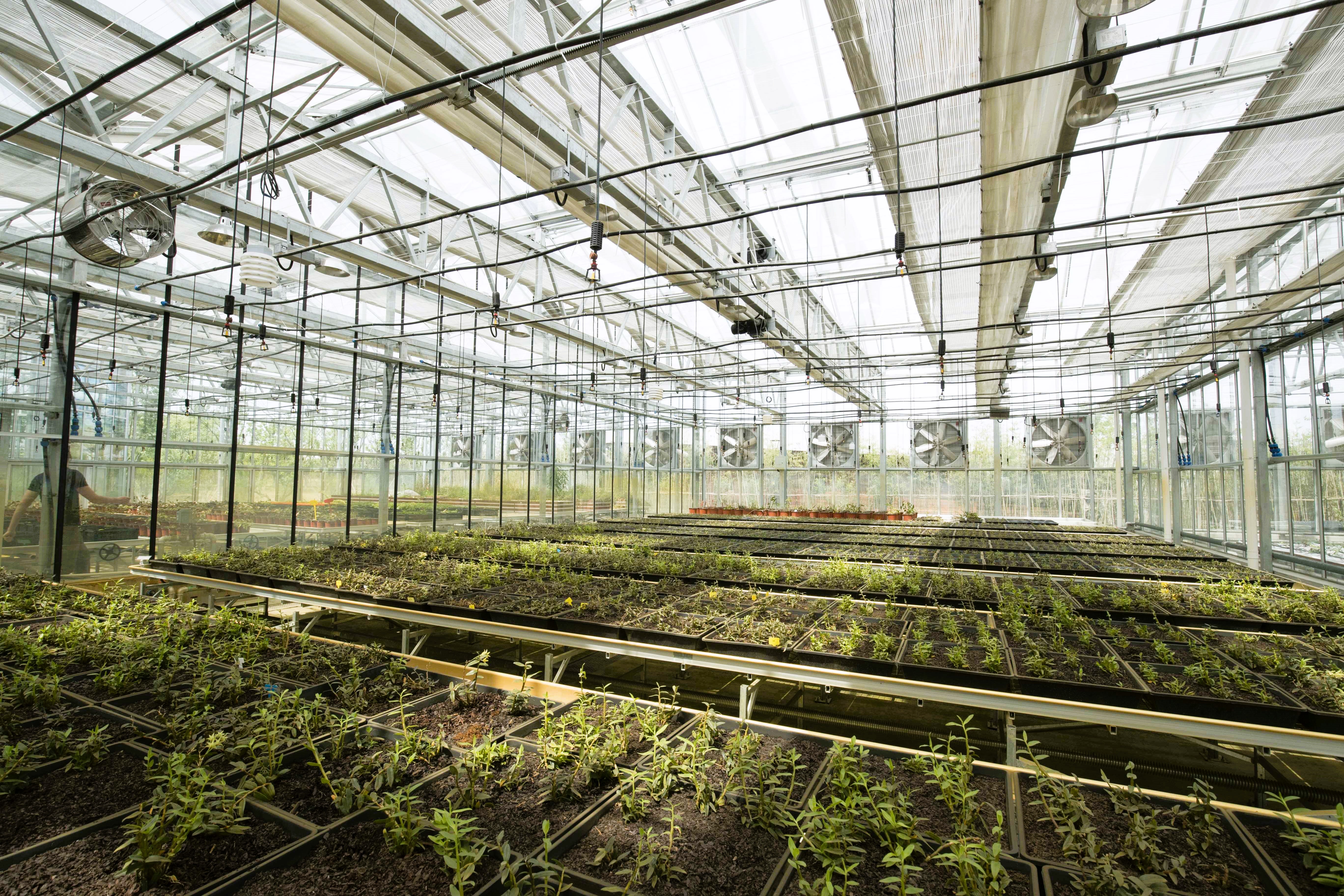 安利（中國）植物研發中心．高端智能溫室