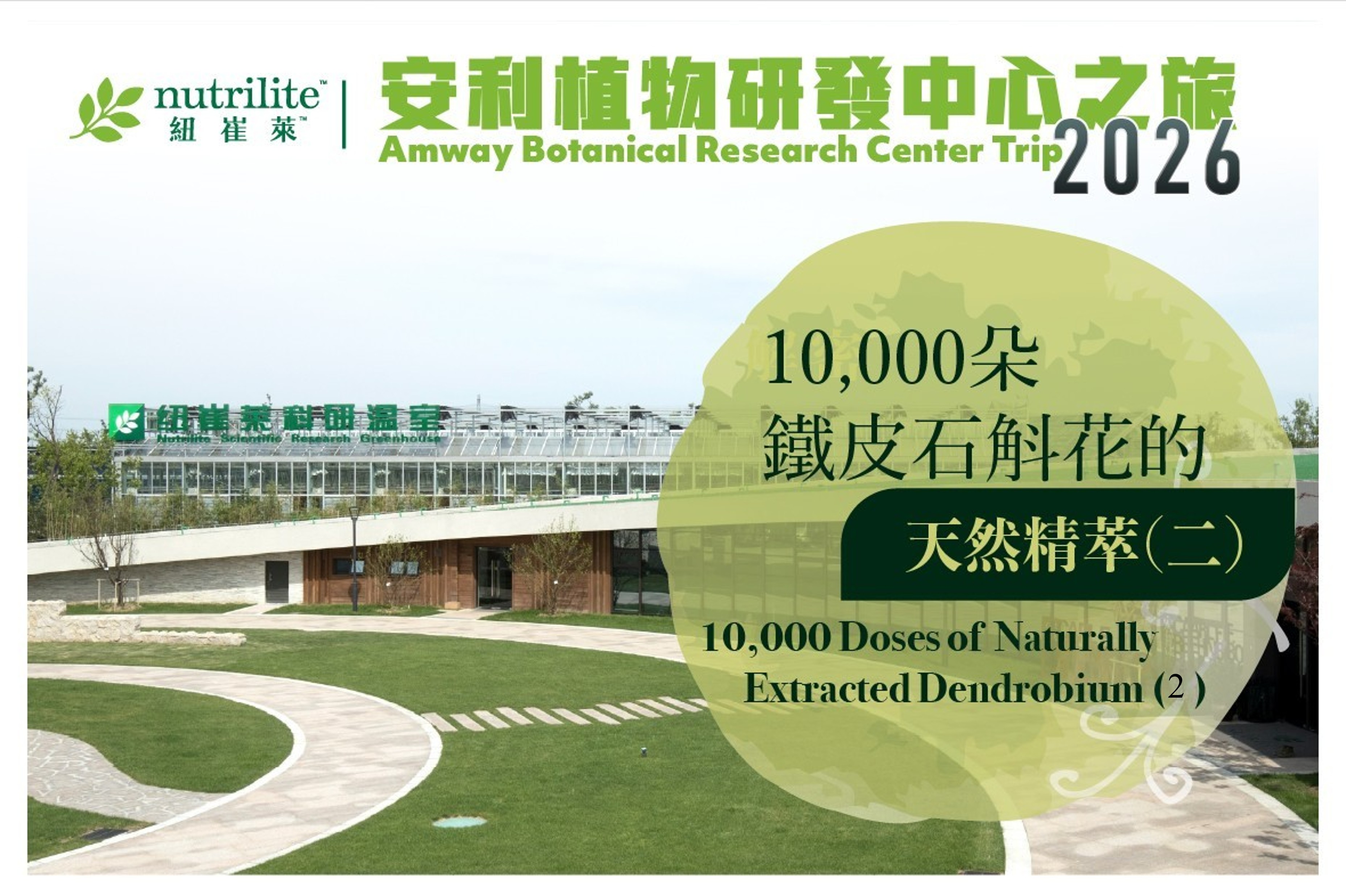 【安利植物研發中心之旅2026】10,000朵鐵皮石斛花的天然精萃🌼（二）