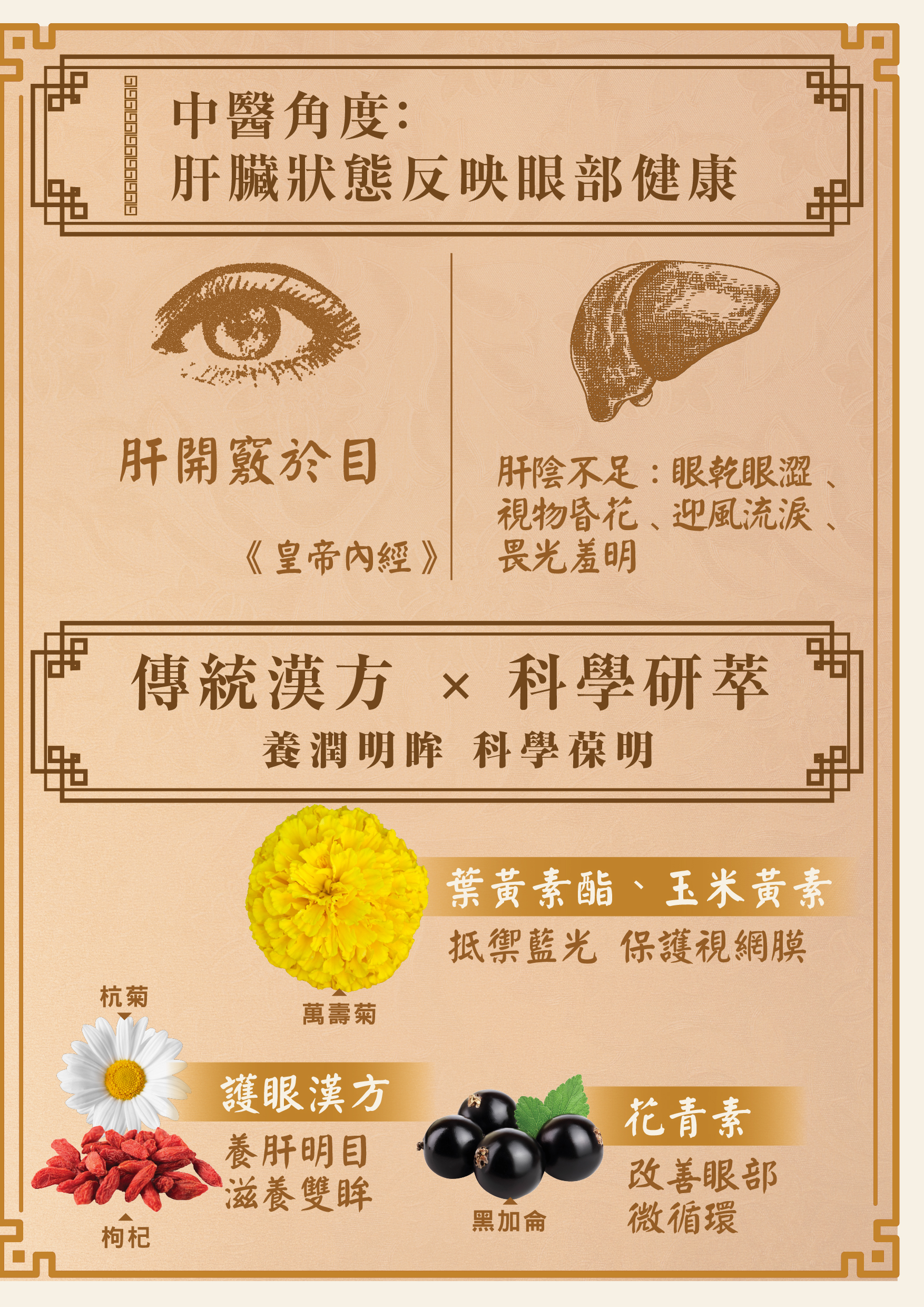 1023_TCM_Eye_Health_Pre_Release_image3.jpg
