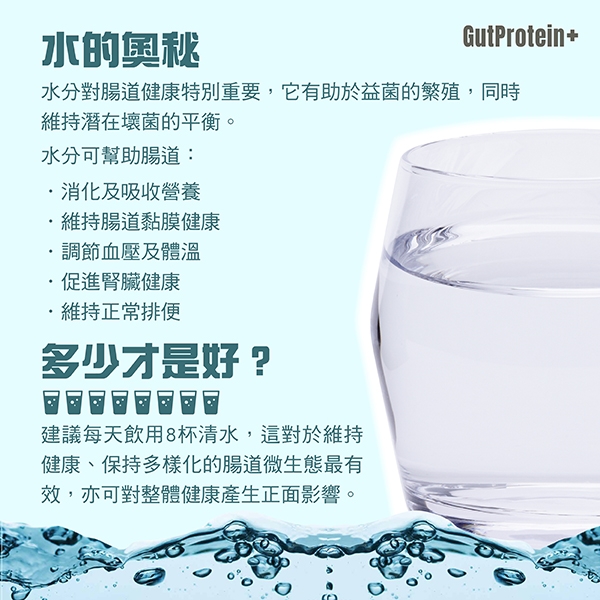 202411_B3_Hydration_and_gut_health_image2_chi.jpg