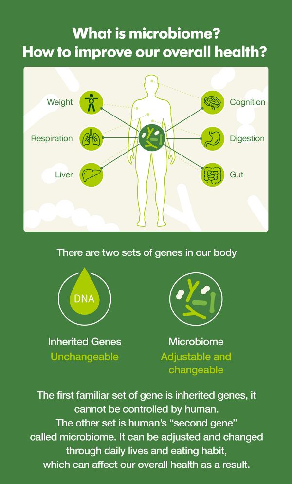 0912_GutProtein_Leaflet_Article2_Image2_resized_eng_v2.jpg