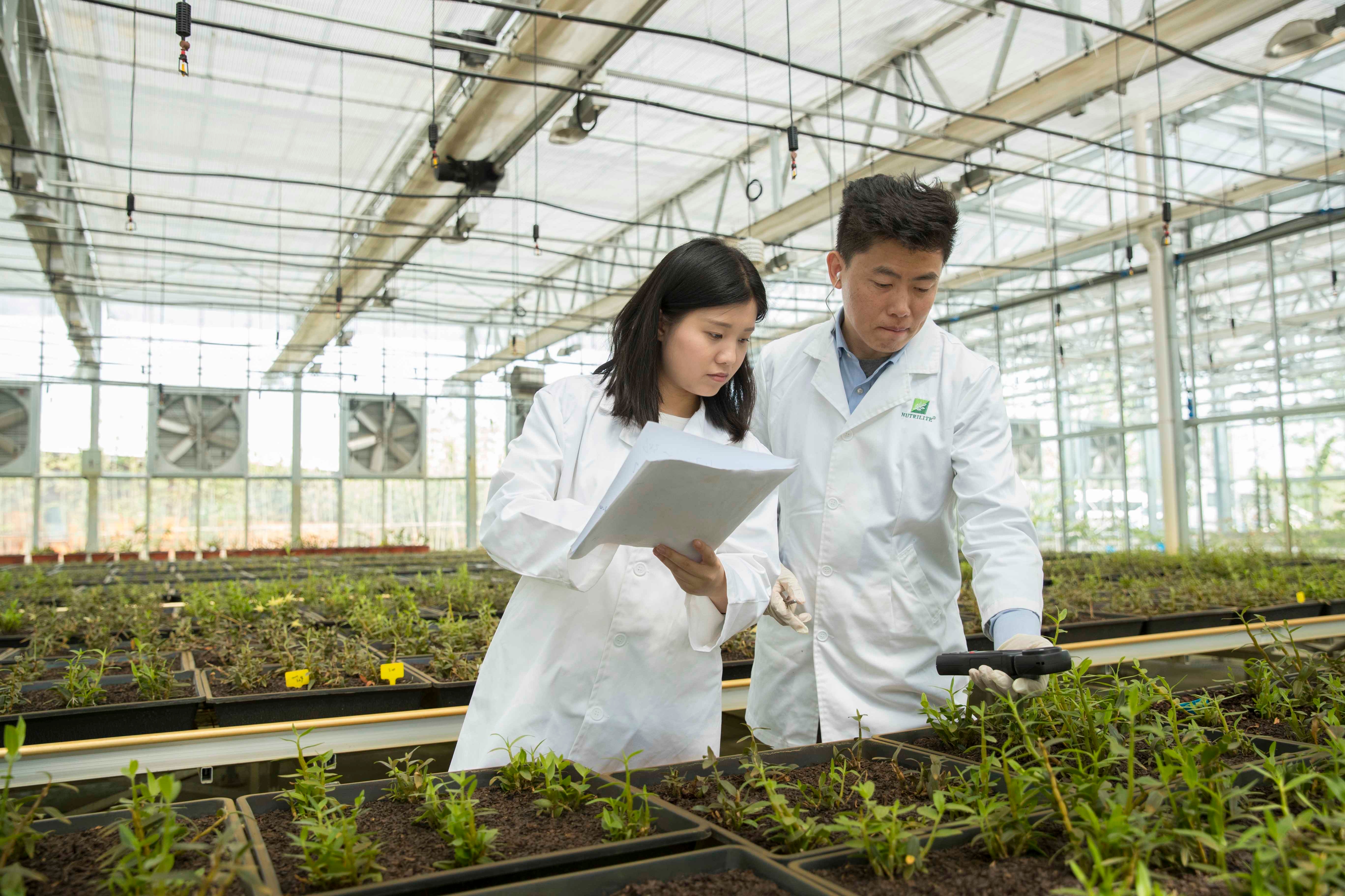 安利（中國）植物研發中心之中醫藥現代化研究