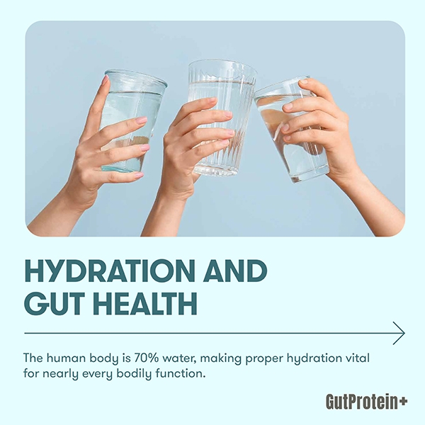 202411_B3_Hydration_and_gut_health_image1_eng.jpg