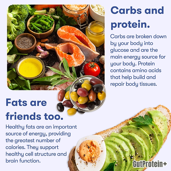 202502_C4_What_are_the_best_nutrients_for_my_body_Image3_Eng.jpg