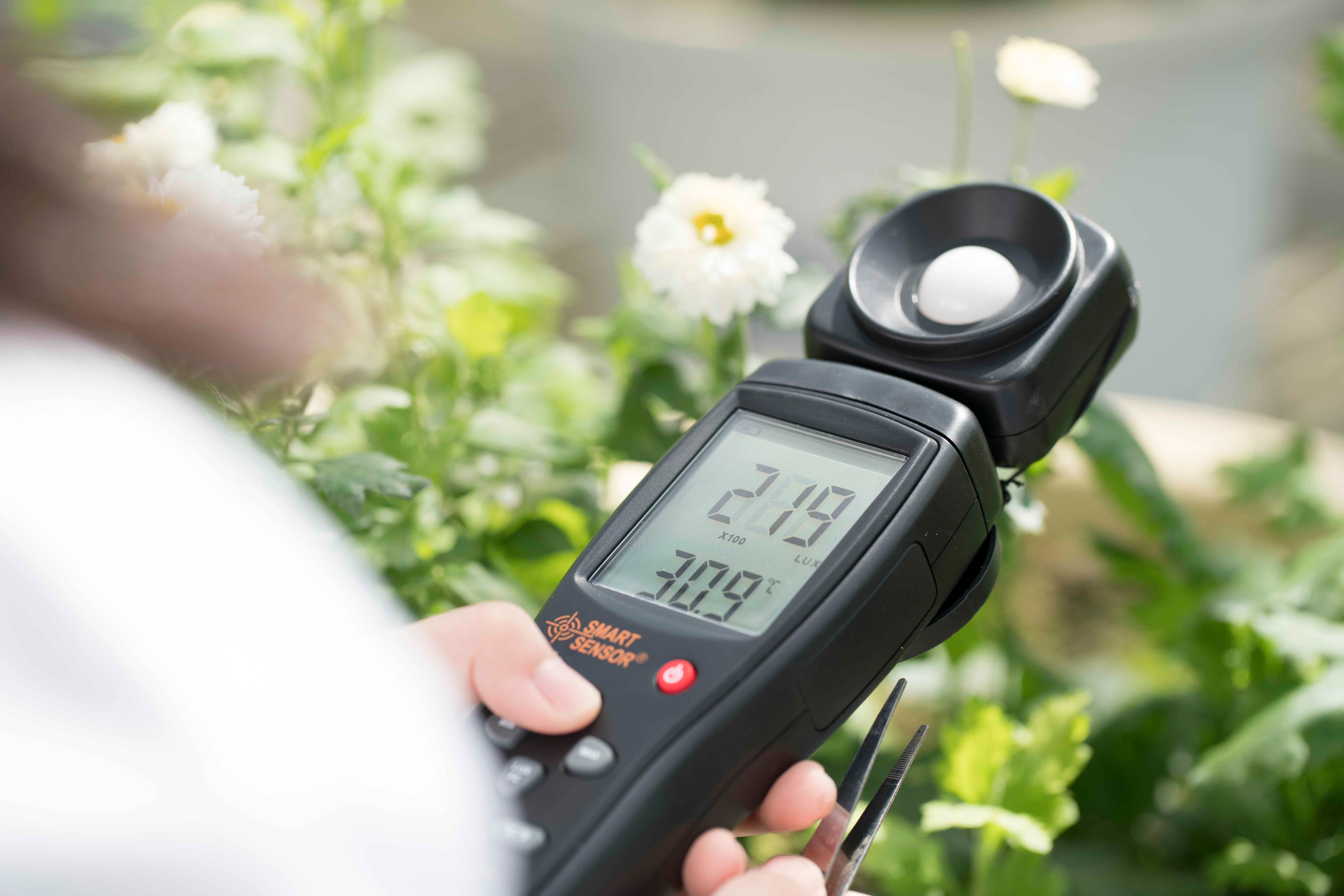 安利（中國）植物研發中心之安利杭白菊的研發故事