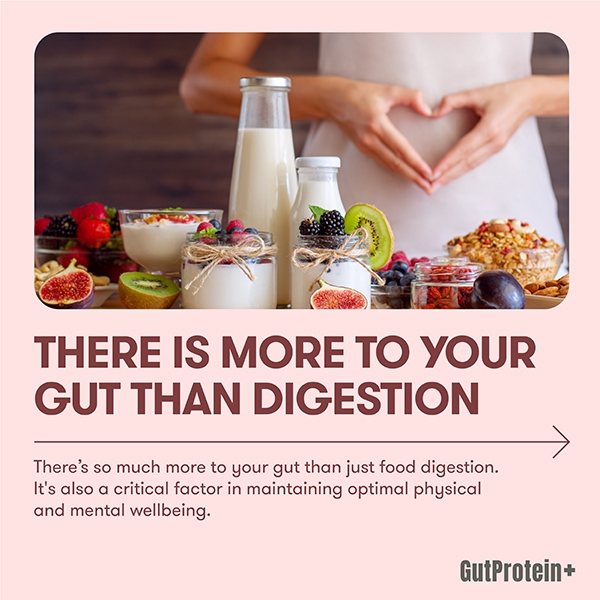 202411_B2_There_is_more_to_your_gut_than_digestion_Image1_eng.jpg