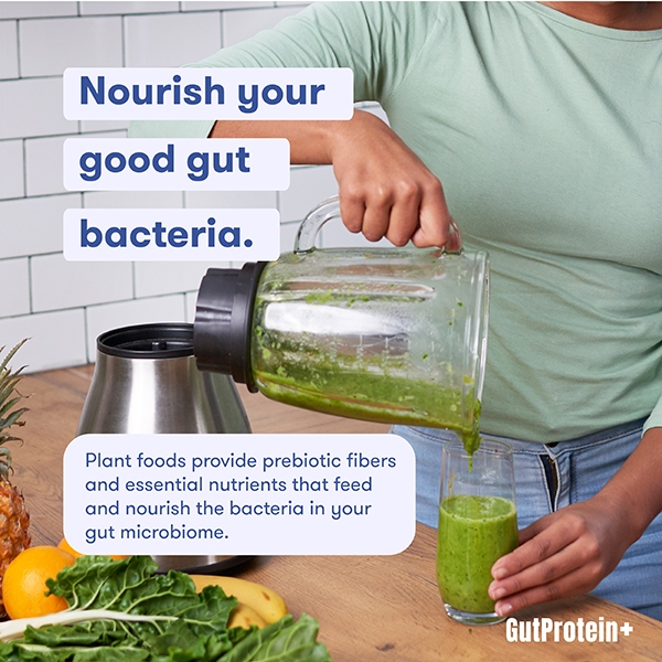 202411_B6_How_do_plant_foods_contribute_to_the_health_of_my_gut_image2_Eng.jpg
