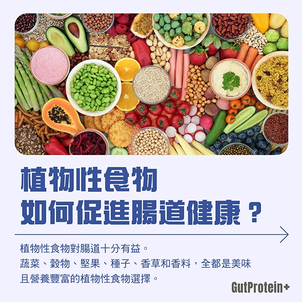 202411_B6_How_do_plant_foods_contribute_to_the_health_of_my_gut_image1_Chi.jpg