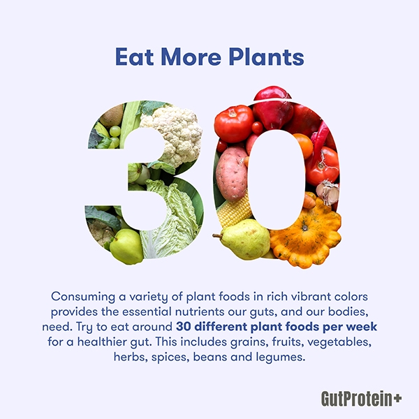 202411_B6_How_do_plant_foods_contribute_to_the_health_of_my_gut_image4_Eng.jpg