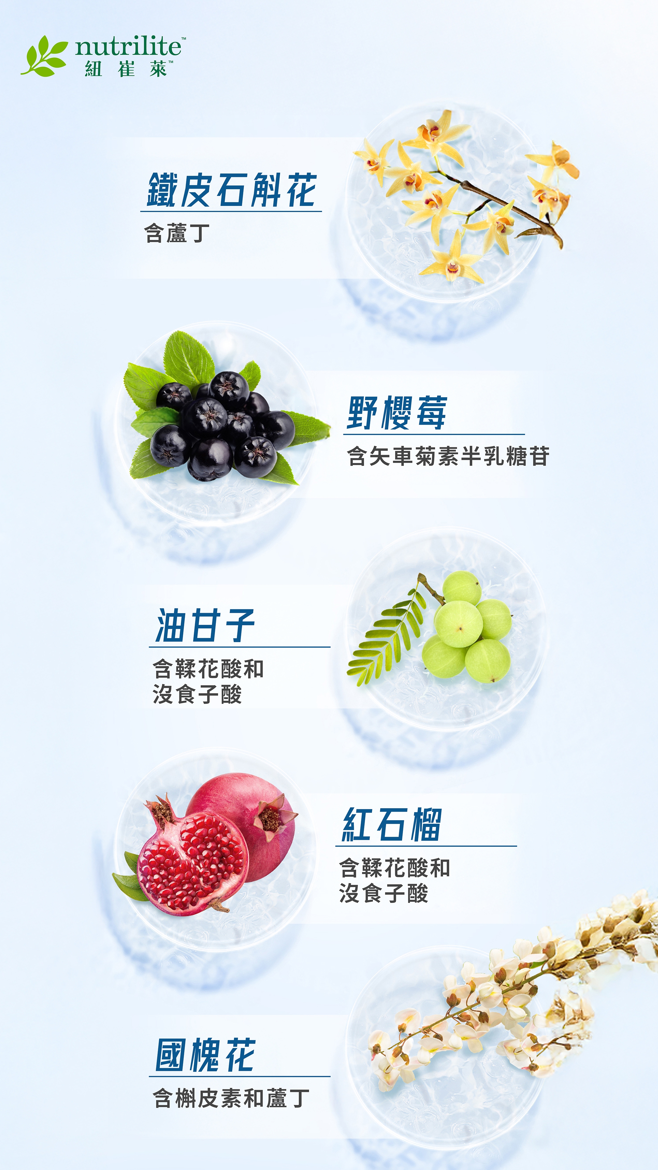202504_iCell_Leaflet_b_edm2_chi.jpg