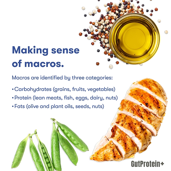 202502_C4_What_are_the_best_nutrients_for_my_body_Image2_Eng.jpg