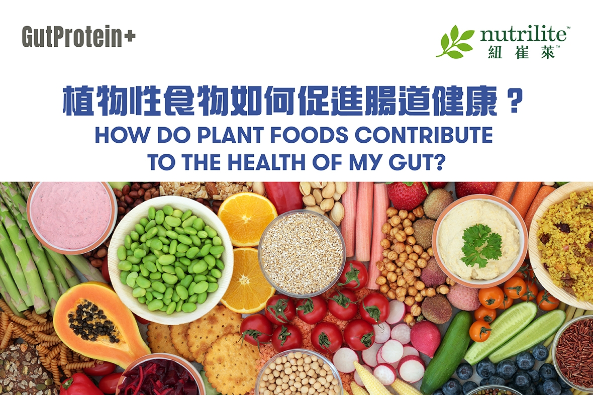 【GutProtein+腸道健康】植物性食物如何促進腸道健康？