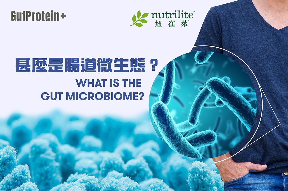 【GutProtein+腸道健康】甚麼是腸道微生態？