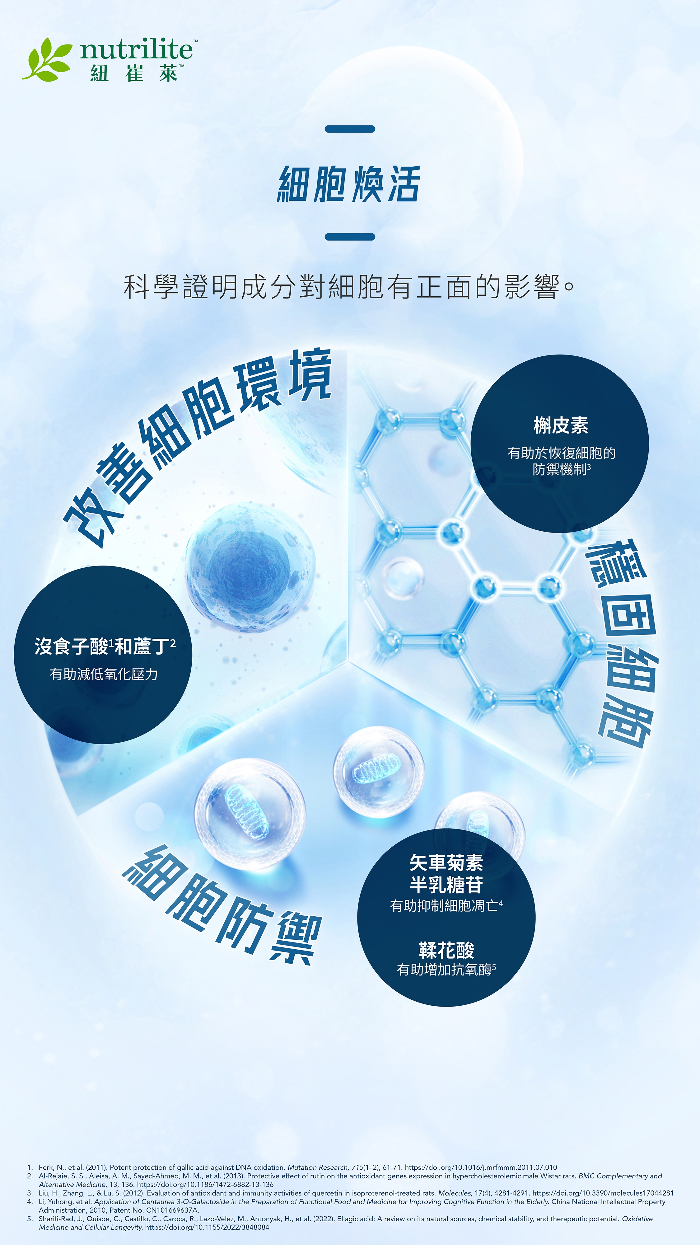 202504_iCell_Leaflet_b_edm3_chi.jpg