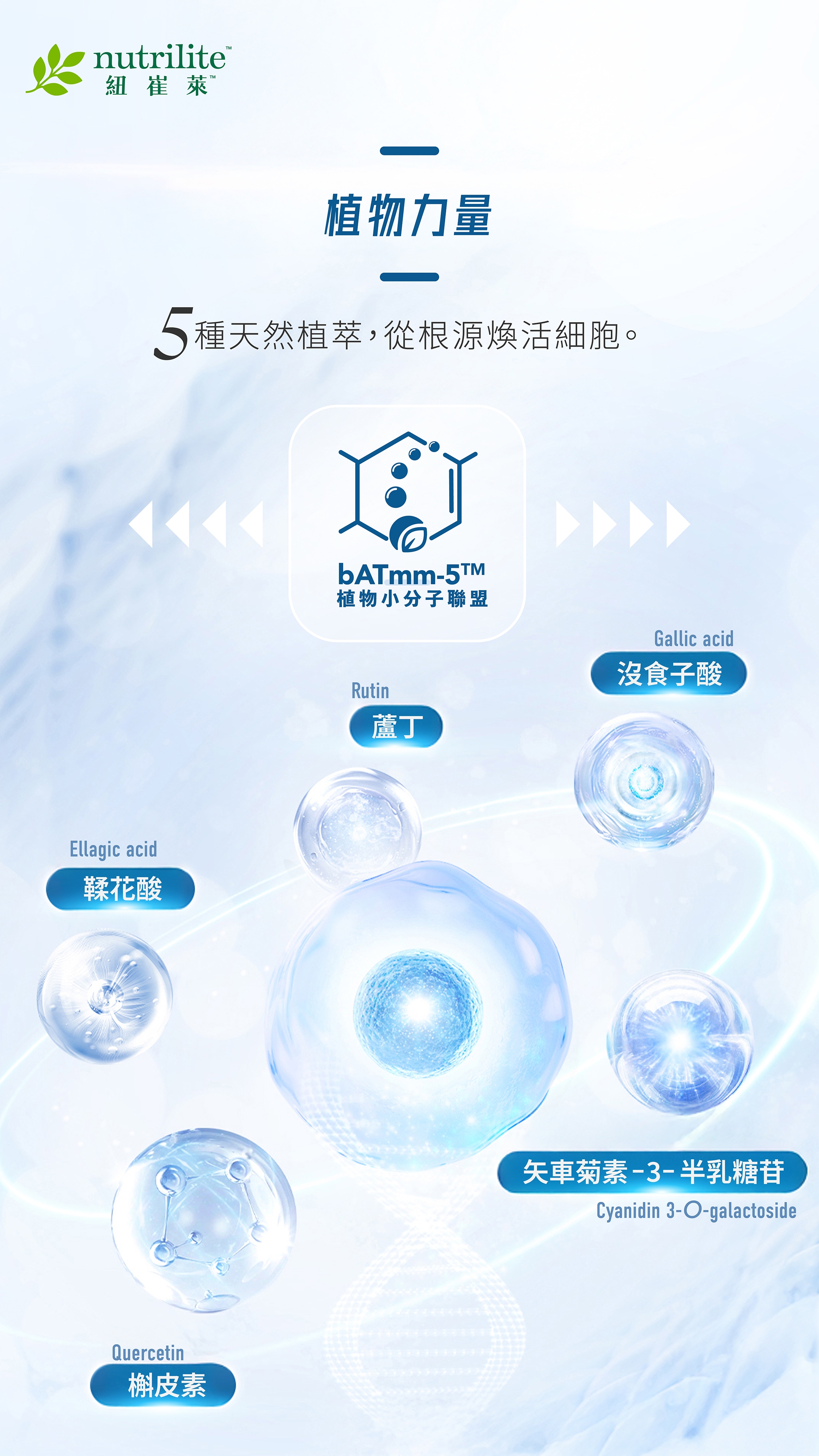 202504_iCell_Leaflet_b_edm1_chi.jpg