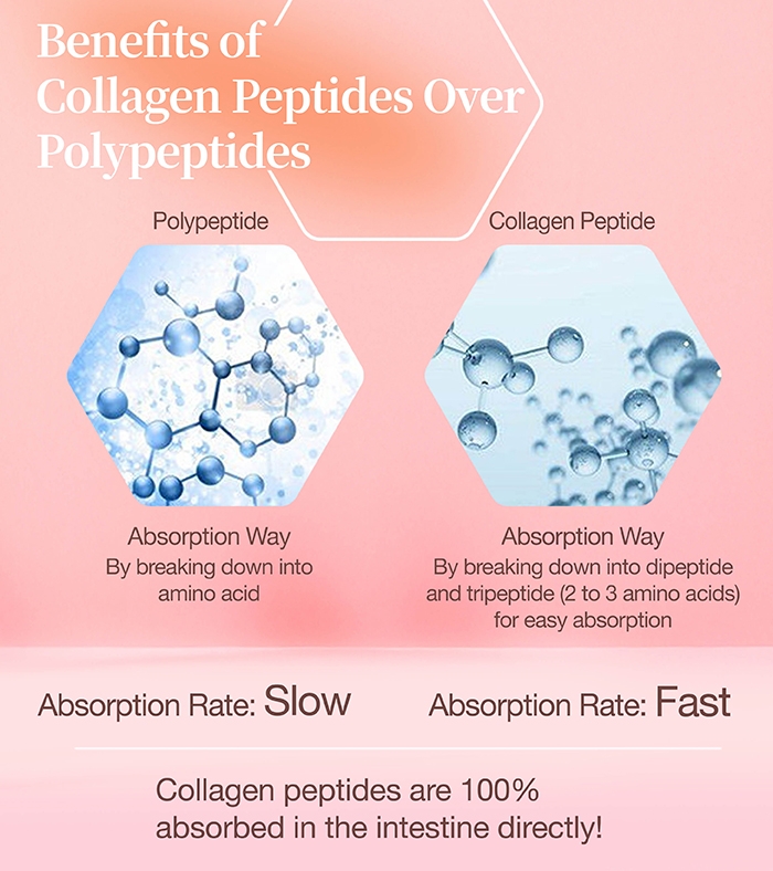 0821_Peptide_Drink_image3_Eng.jpg