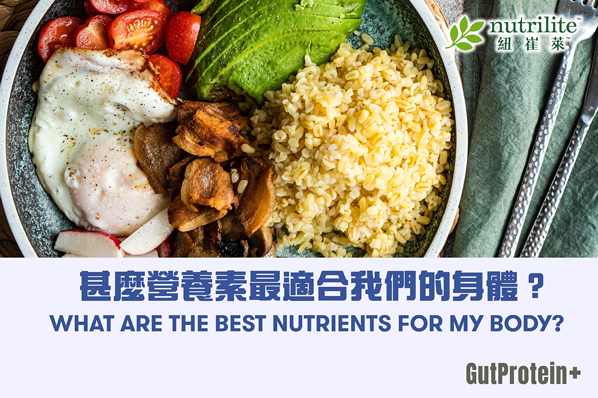 【GutProtein+均衡飲食】甚麼營養素最適合我們的身體？