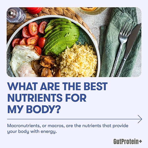 202502_C4_What_are_the_best_nutrients_for_my_body_Image1_Eng.jpg