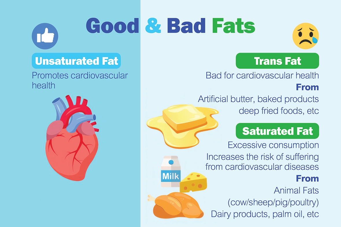 0703_Good_&_Bad_Fats_eng.jpg