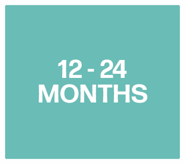 Shop Toys for ages 12 to 24 months