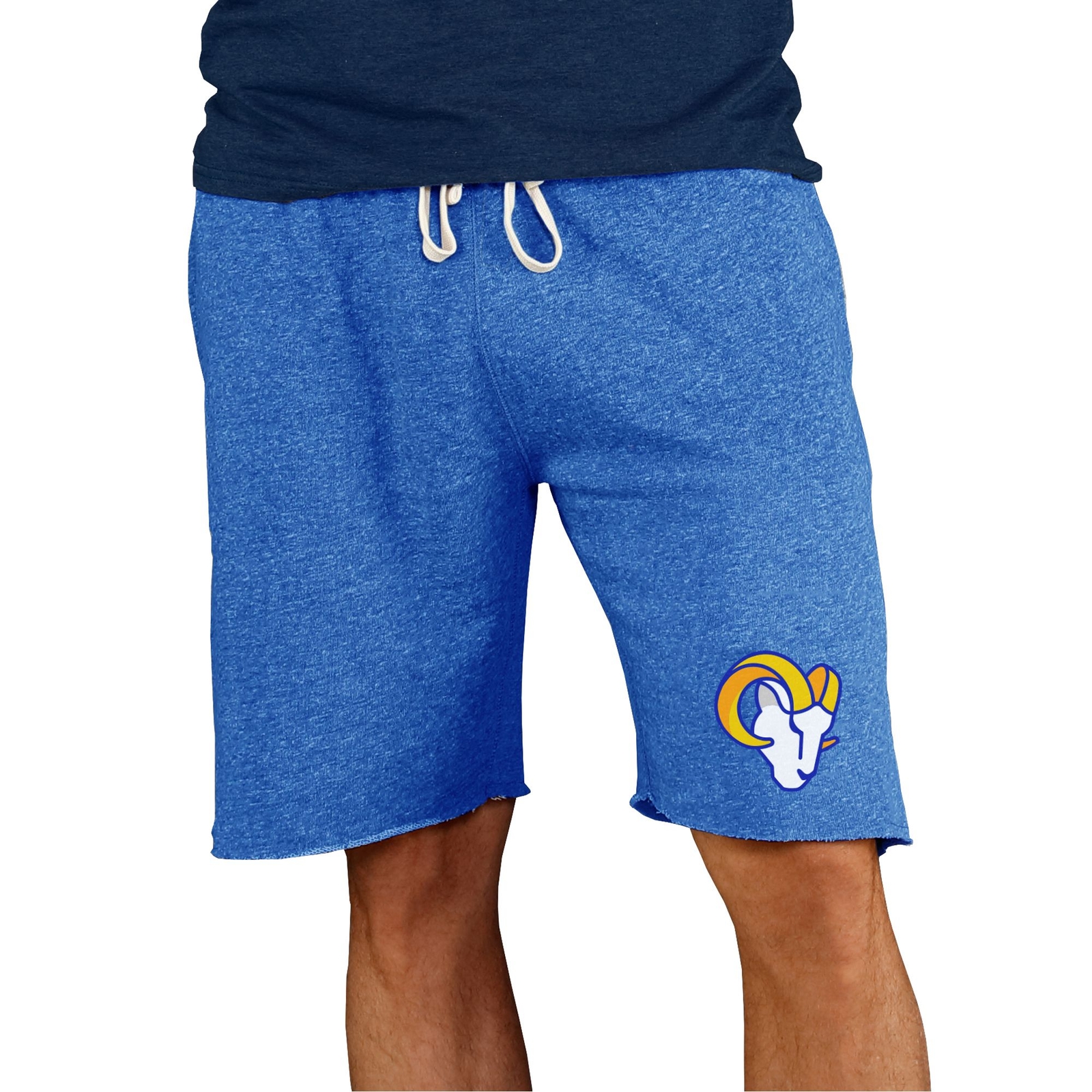NFL Mainstream Men's Short Multi Shorts L