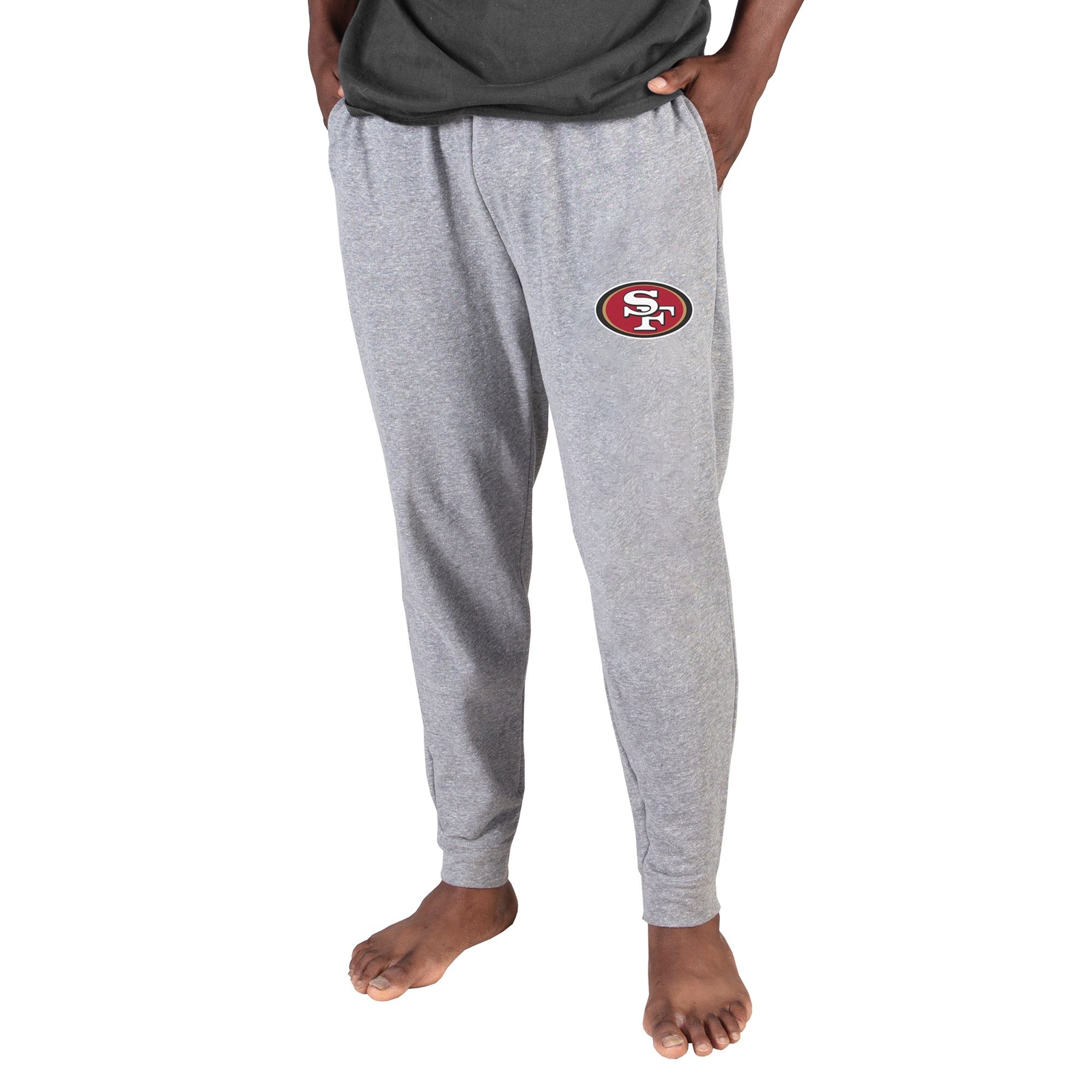 NFL Men's Mainstream Men's Jogger Pant Multi Pants L-Regular