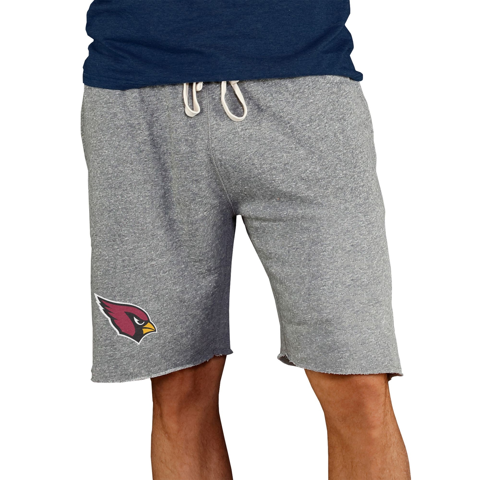 NFL Mainstream Men's Short Multi Shorts L