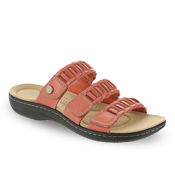 Slides