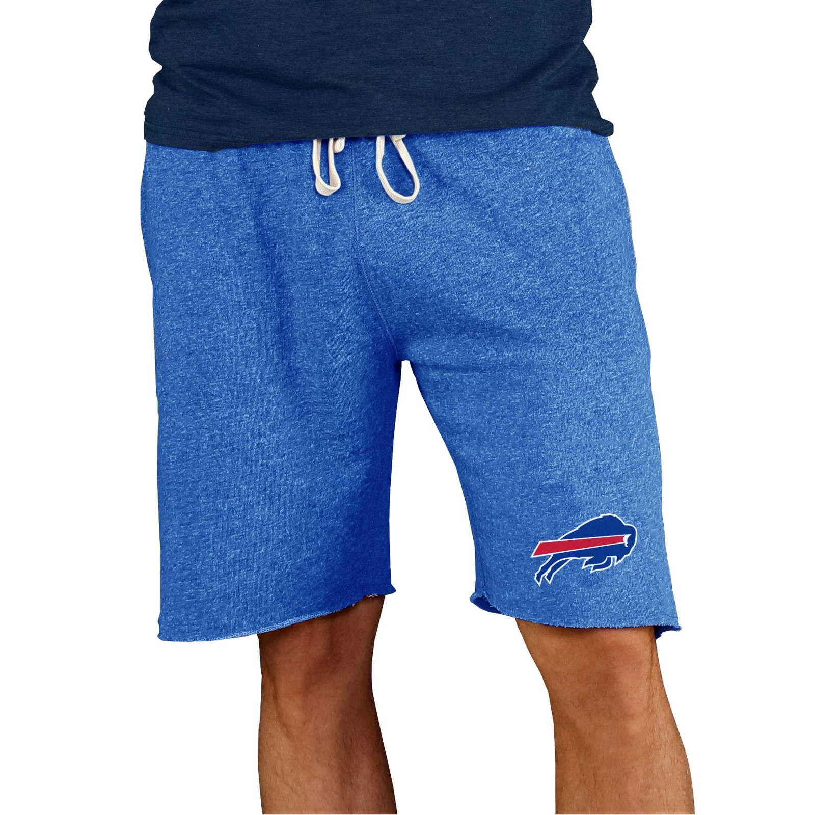 NFL Mainstream Men's Short Multi Shorts L