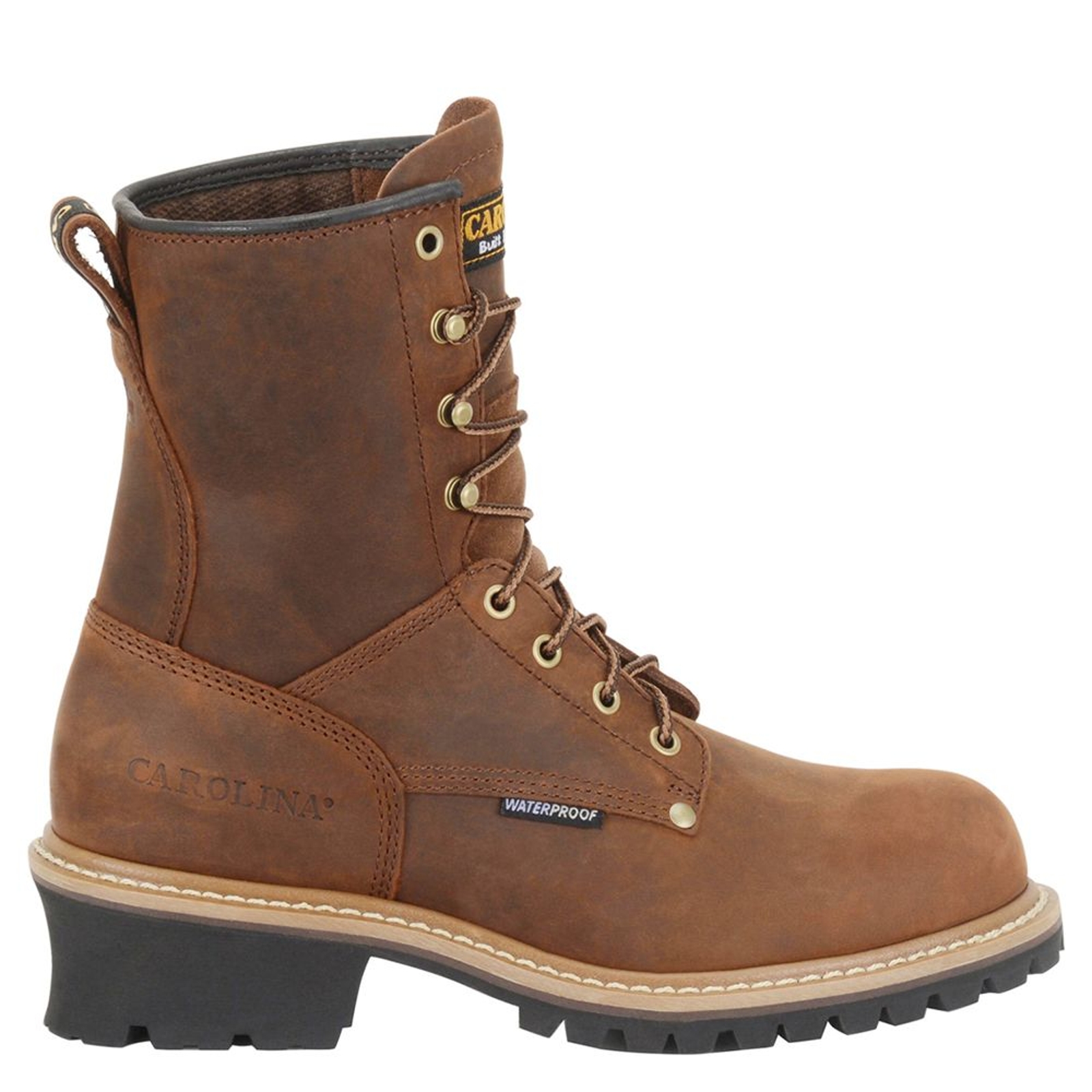 Carolina Elm 8