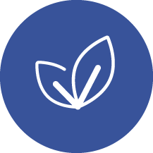 Plants Icon