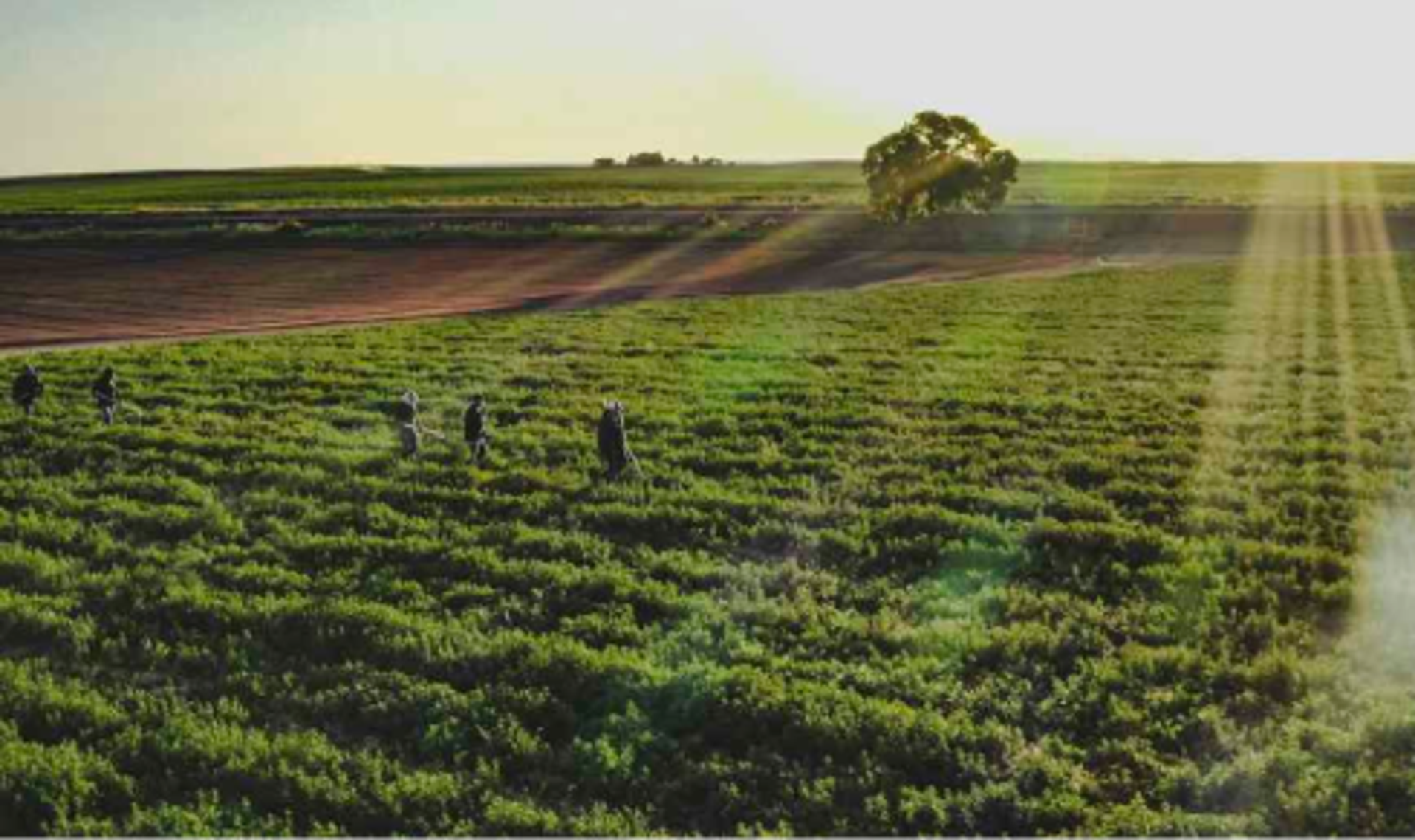 Sustainability Image