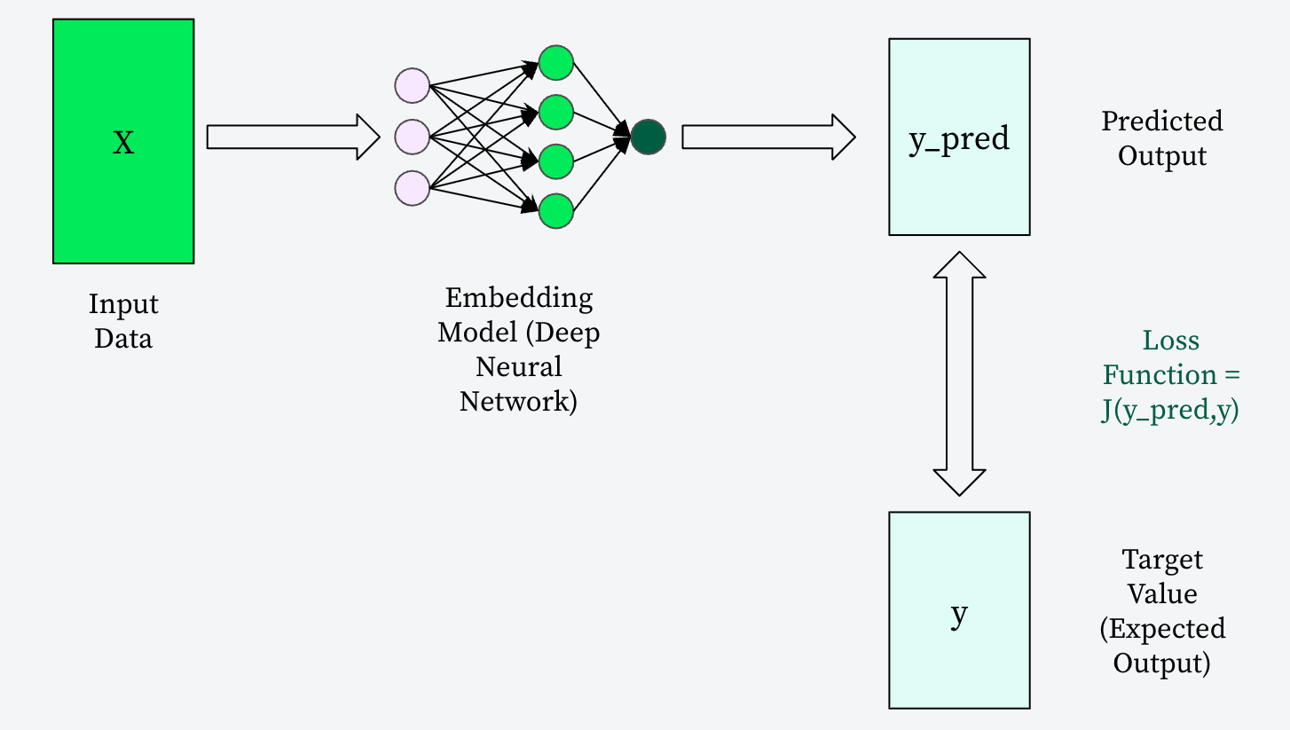 Diagram of the training model. The input data flows into the embedding model, which then produces a predicted output, the loss function then takes the output and produces a target value.