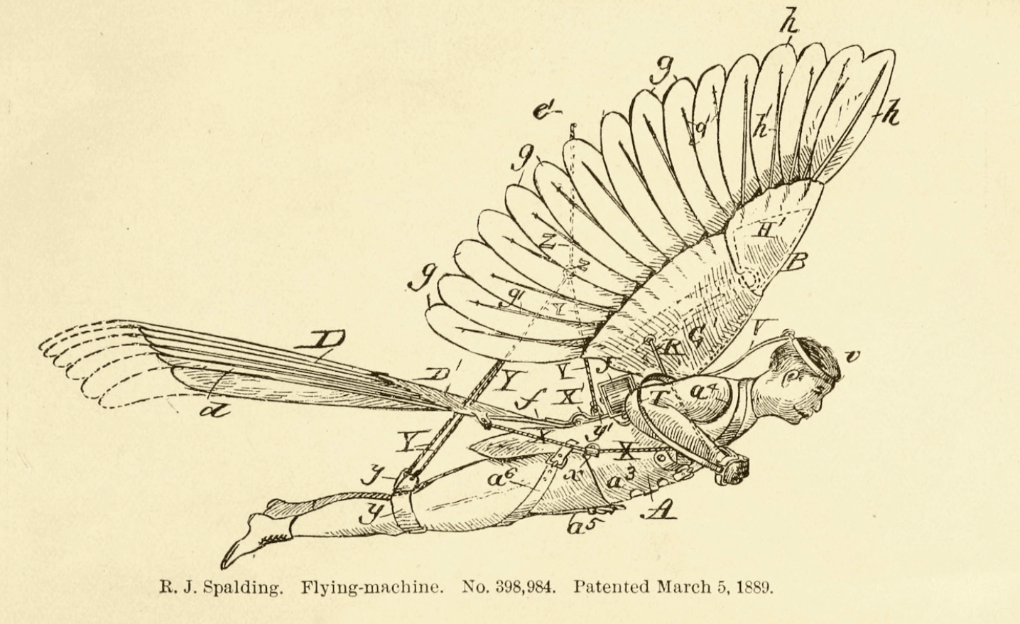 Yellowed old patent diagram of a human-powered flying machine with feathered wings and tail
