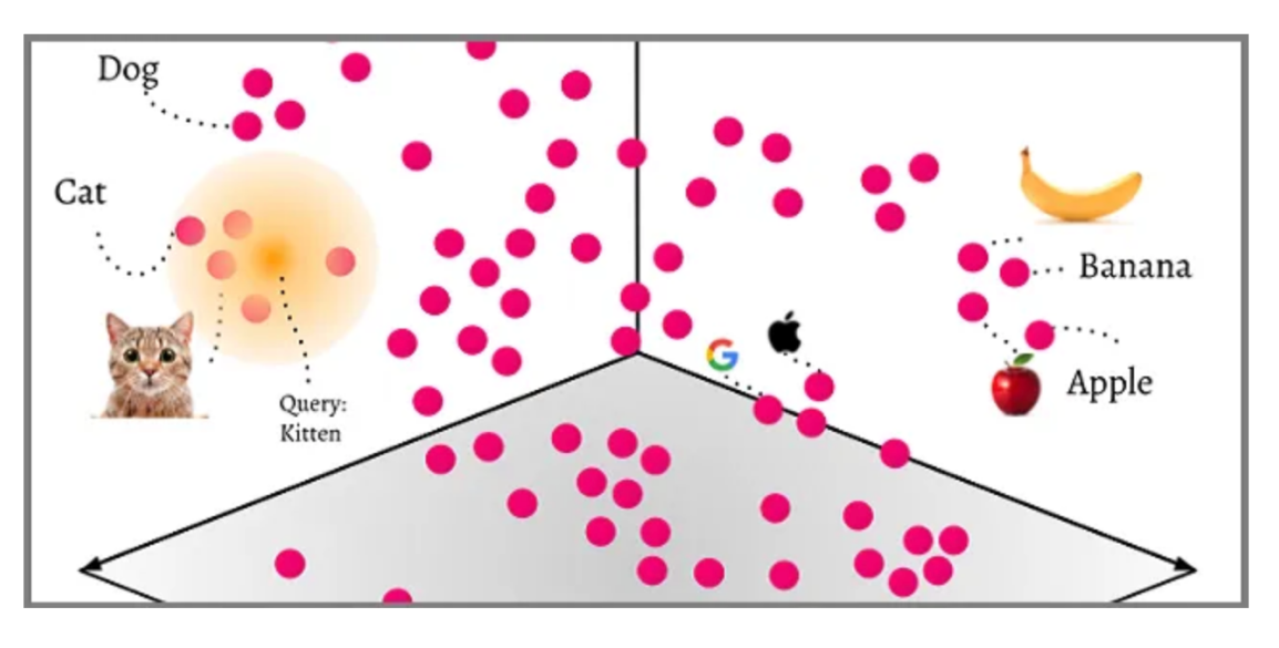 An image describing how vector database search works including pink dots, a cat, banana, etc.
