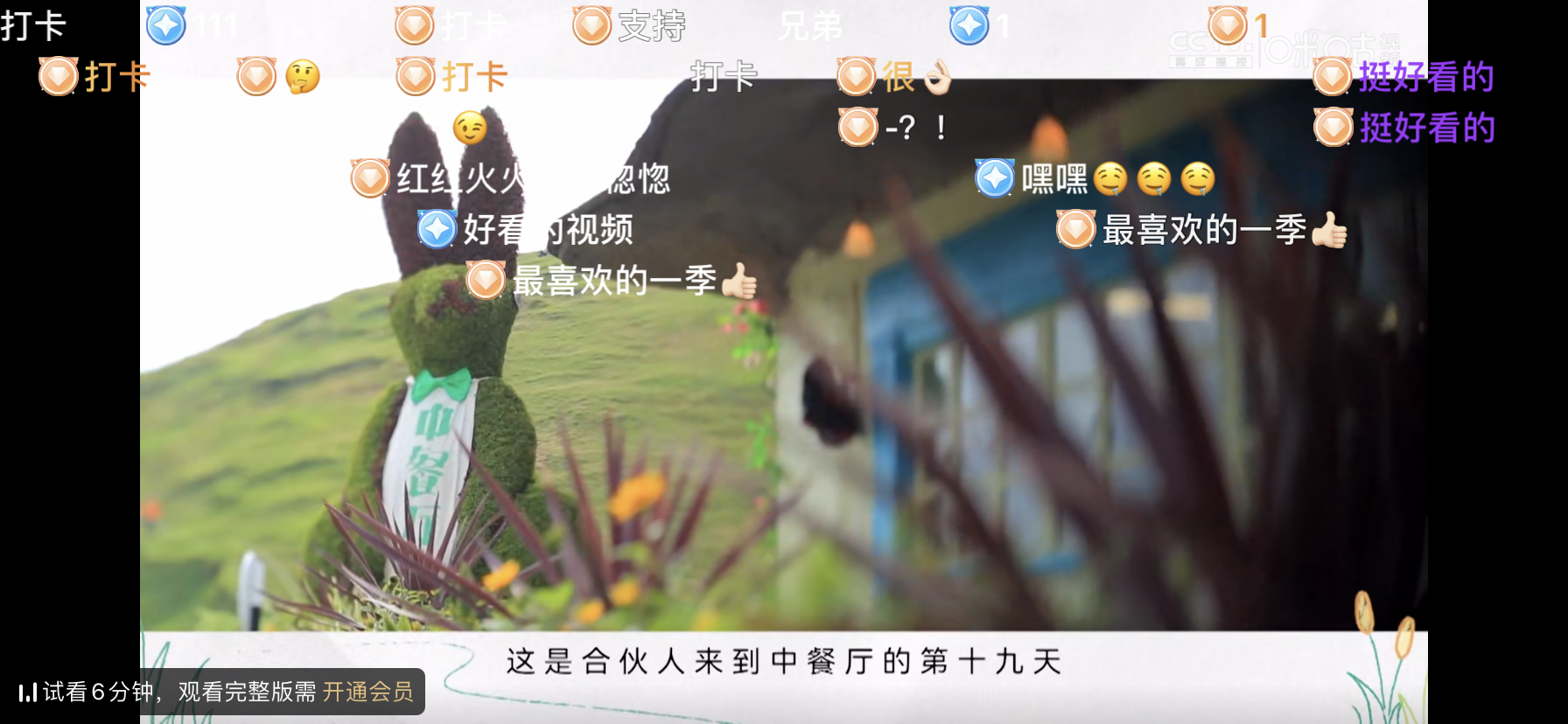 Bullet screen feature