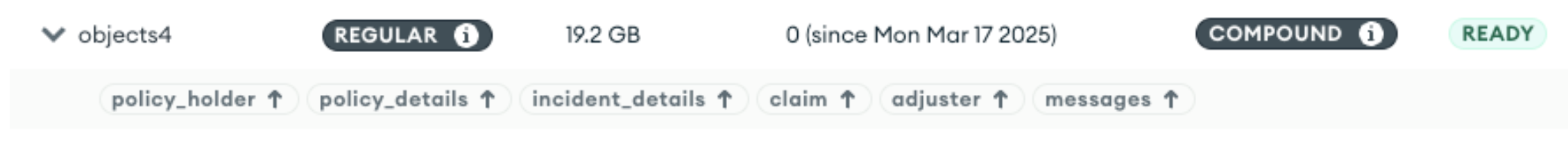 Index definition showing a compound index on policy_holder, policy_details, claim, adjuster, and messages. The size of the index is 19.2 GB.