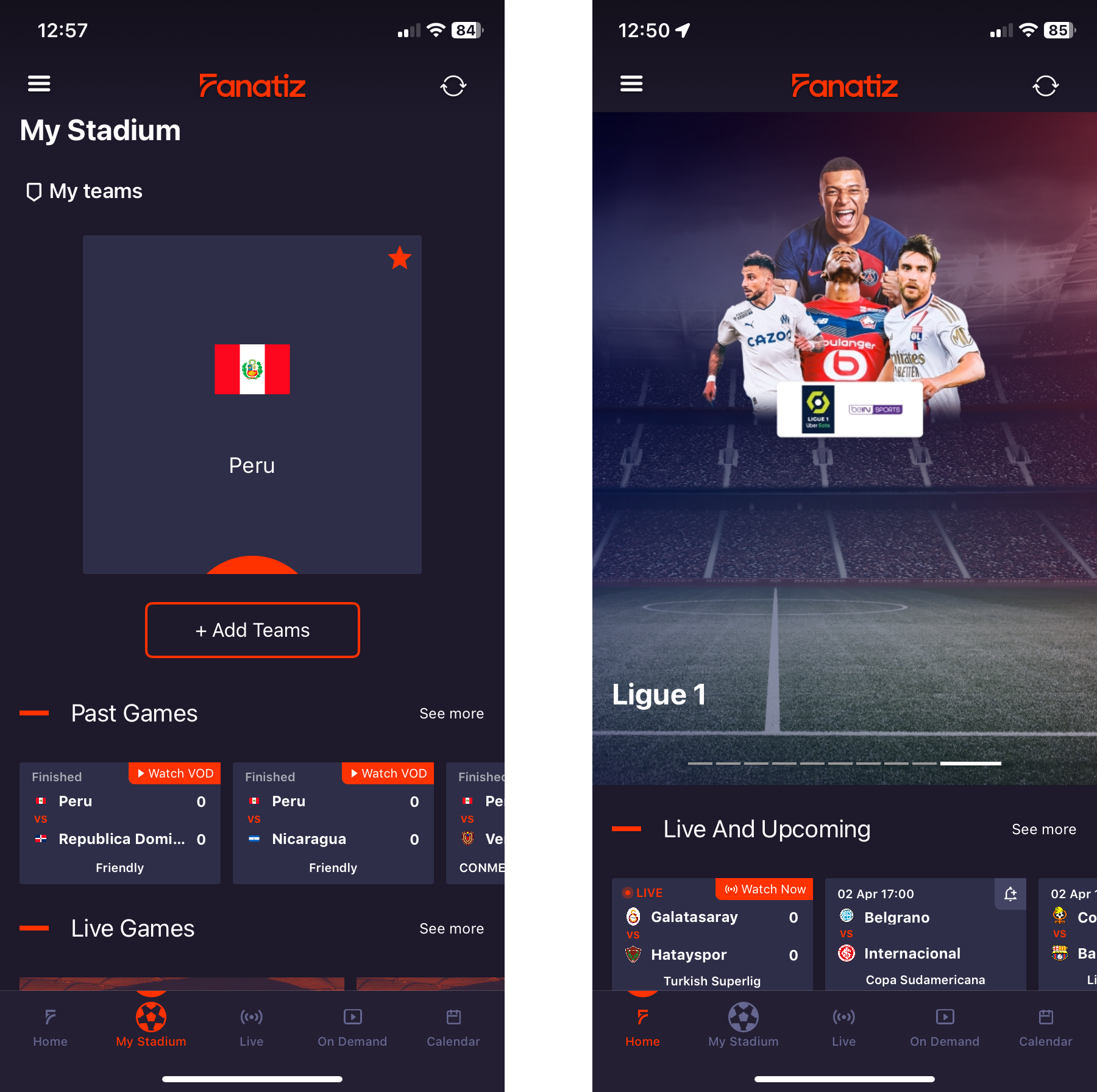 An illustration showing the Fz Sports mobile app - My Stadium and My Team Home Screen