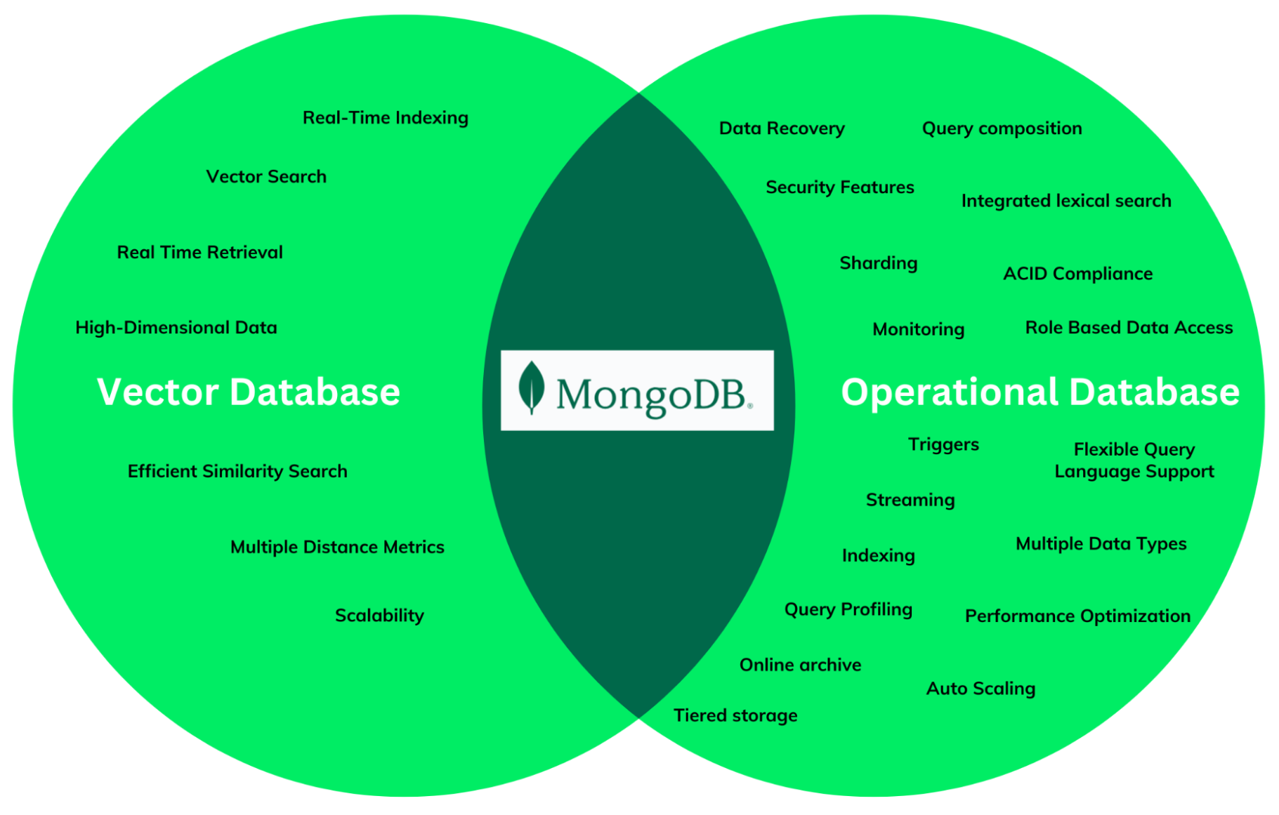 Vector and operational databases illustration.