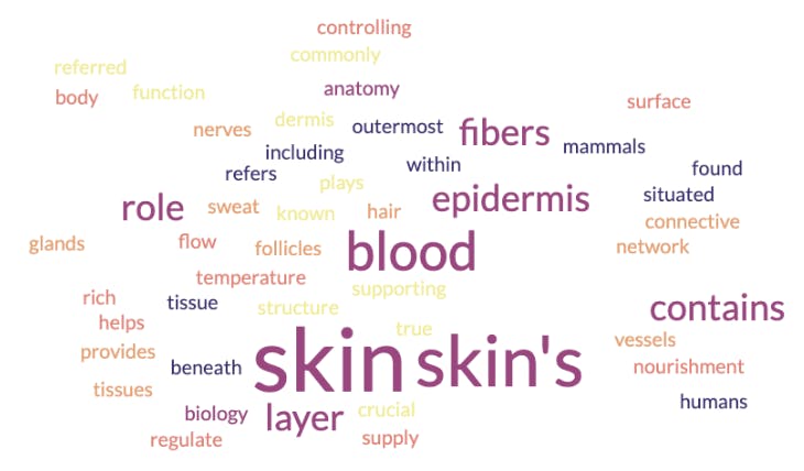 Another sample word cloud.