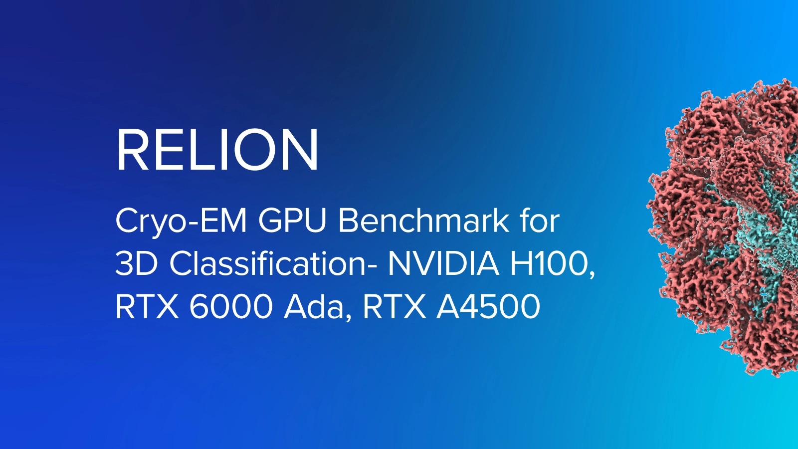 EXX-Blog-relion-cryo-em-3d-classification-benchamrk.jpg