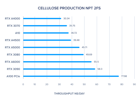 CELLULOSE_PRODUCTION_NPT_2FS.png