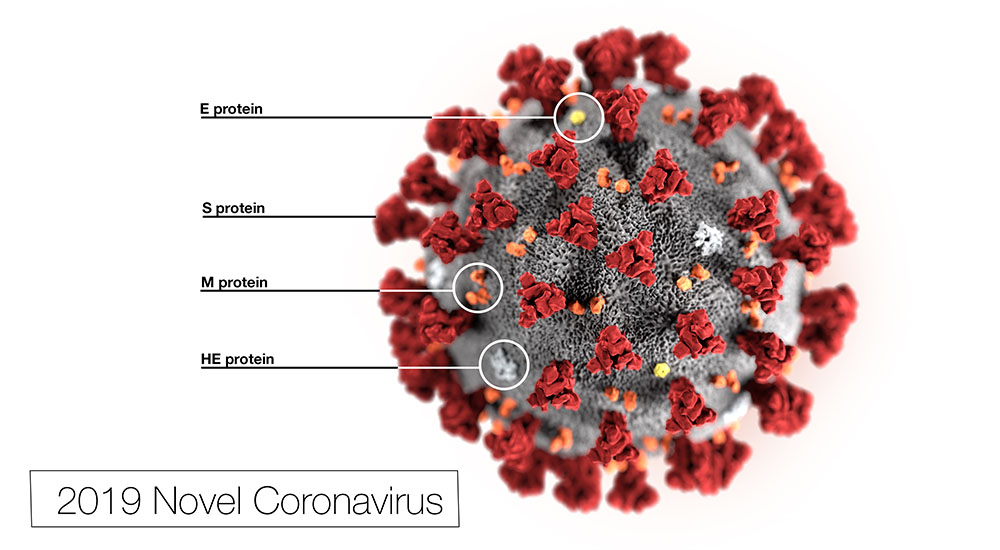 COVID-19 Virus 