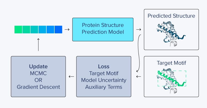 constrained hallucination colabdesign - predicting protein sequence from structure 