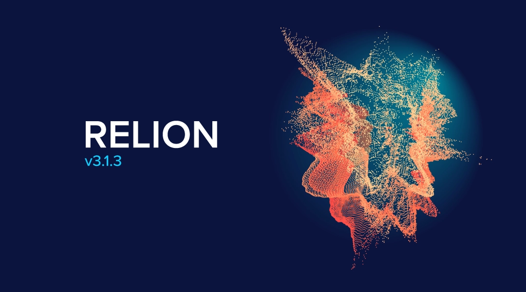 blog-relion-update-3.1.3.jpg