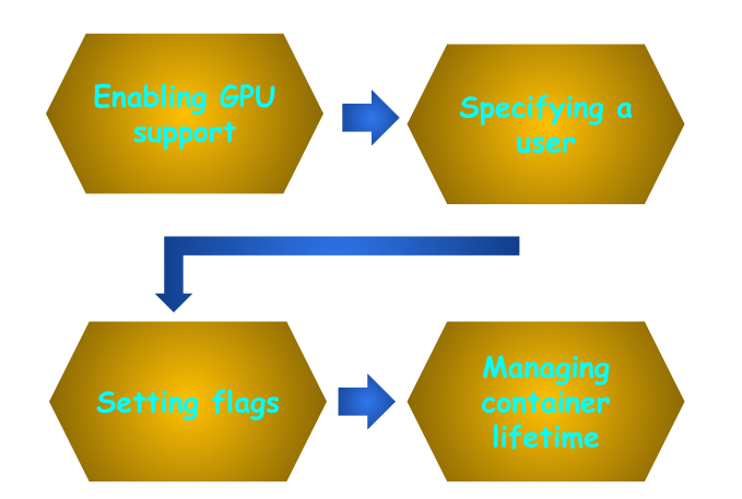 NGC container running and managing workflow