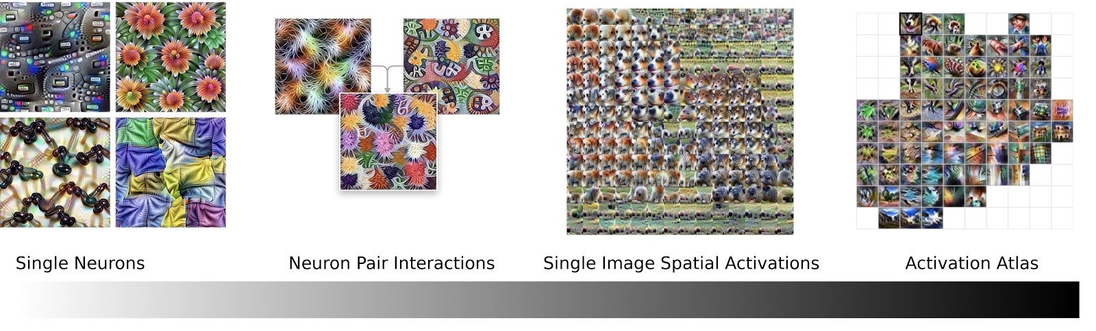progression.jpg